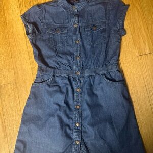 Dex Blue Casual Dress with Flutter Sleeves and Mandarin Collar